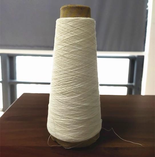 Cotton Yarn