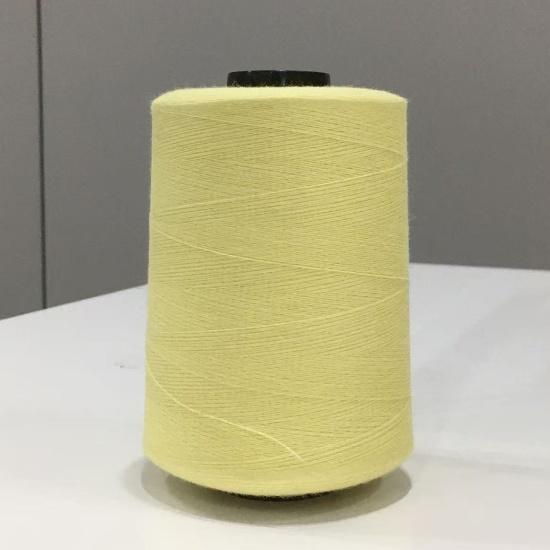 Para Aramid Yarn